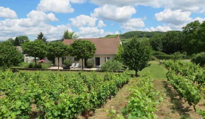 Les Vignes de Paris