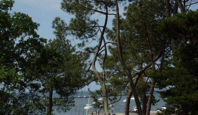 Appartement 2 chambres Bassin d'Arcachon front de mer, plage du Betey